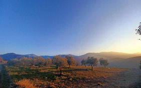 Un Petit Oasis En Plein Centre De Ceret.